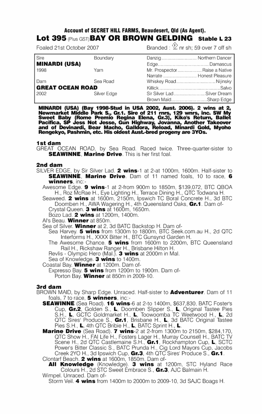 Fortune Horse - pedigree