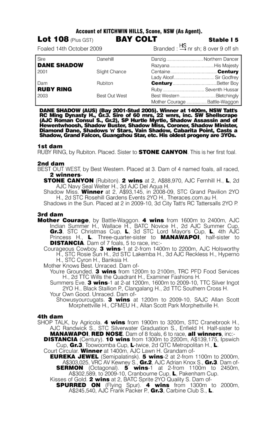 The Good Mark - pedigree