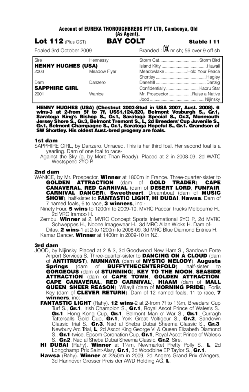 Sky Elite - pedigree