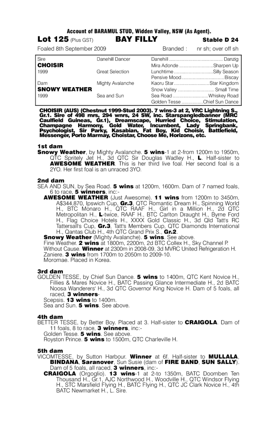 Snow Choice - pedigree