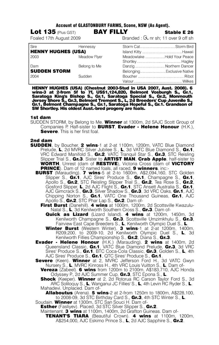 Hughmidity - pedigree