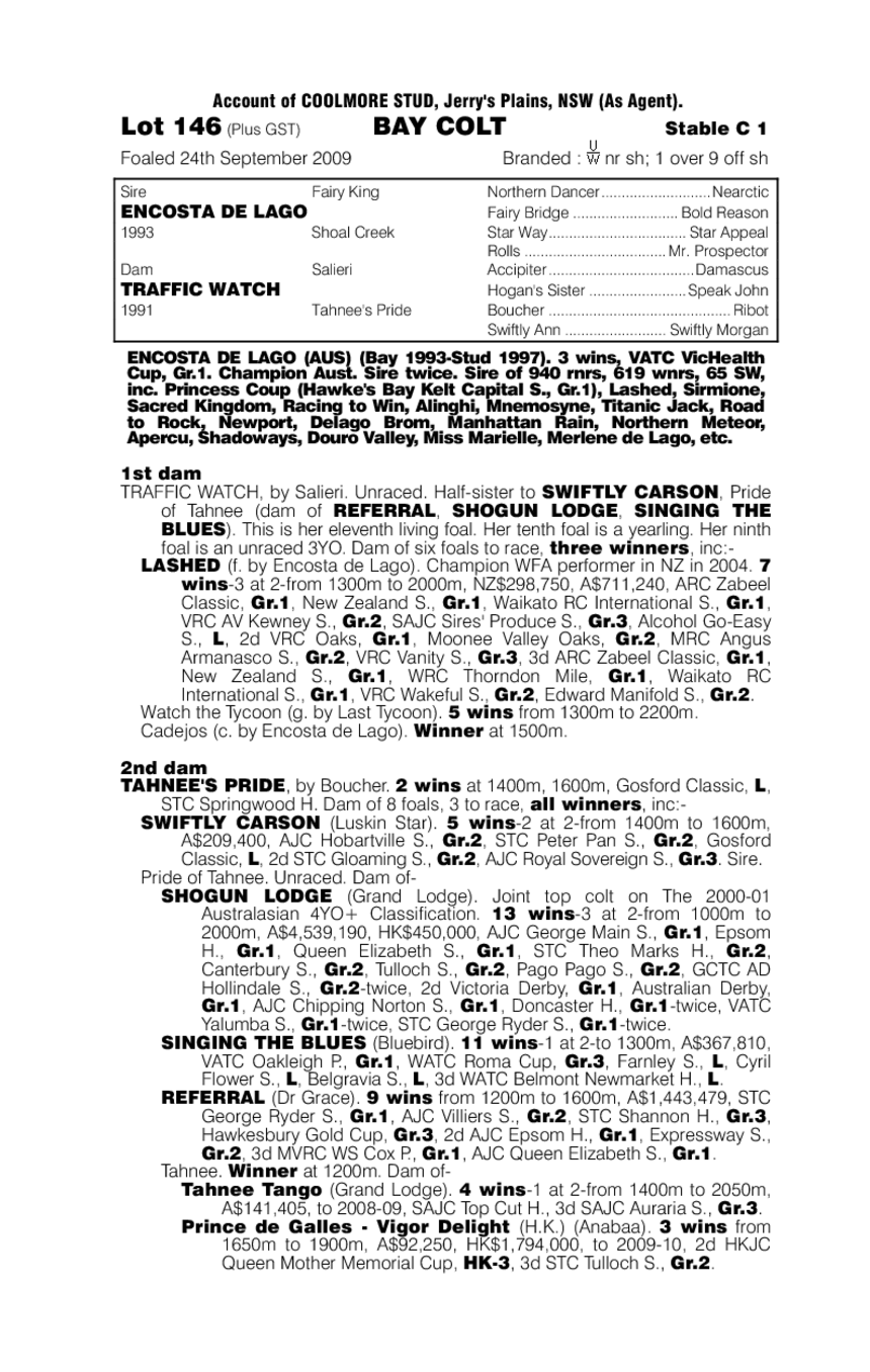 Dubai Traffic - pedigree