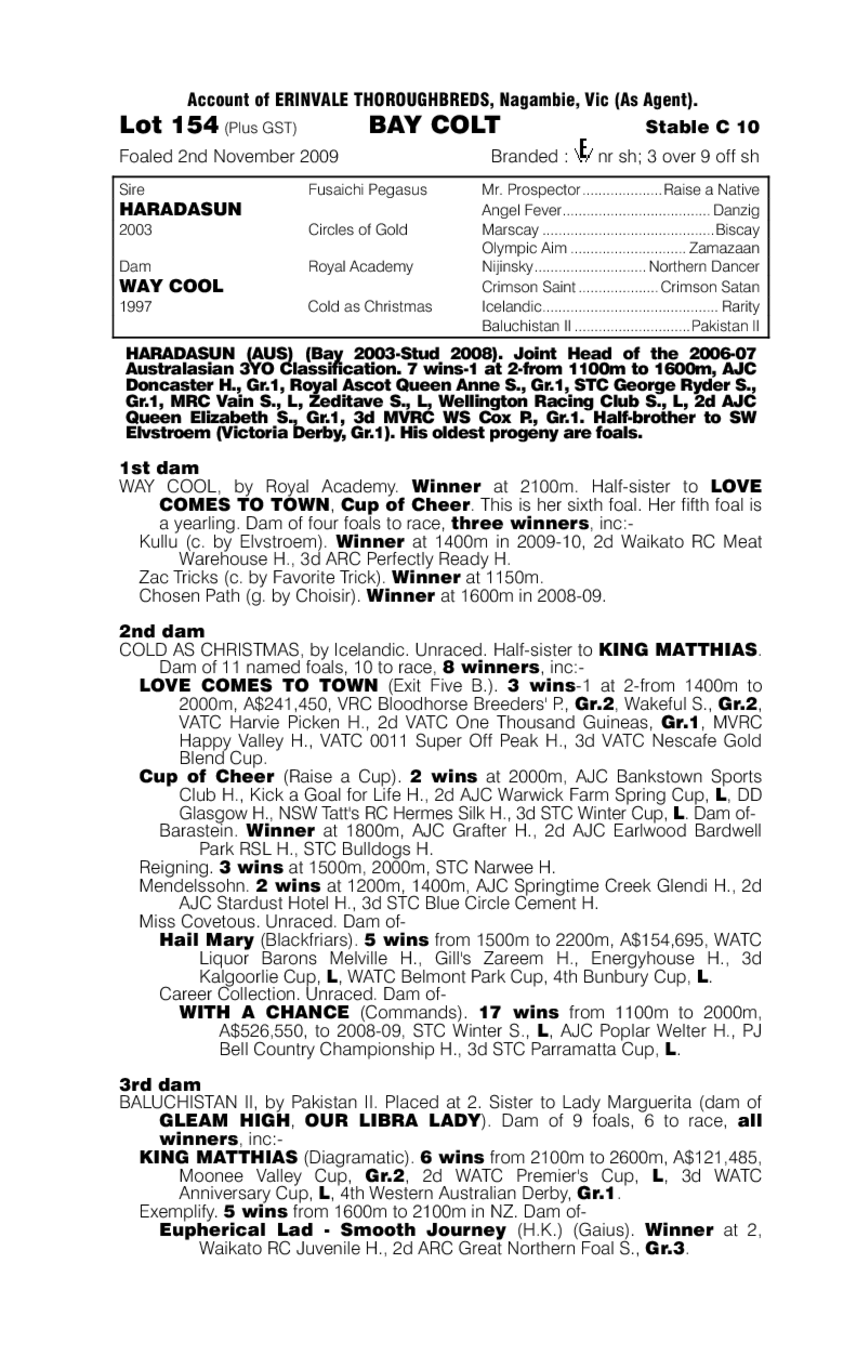 New York City - pedigree