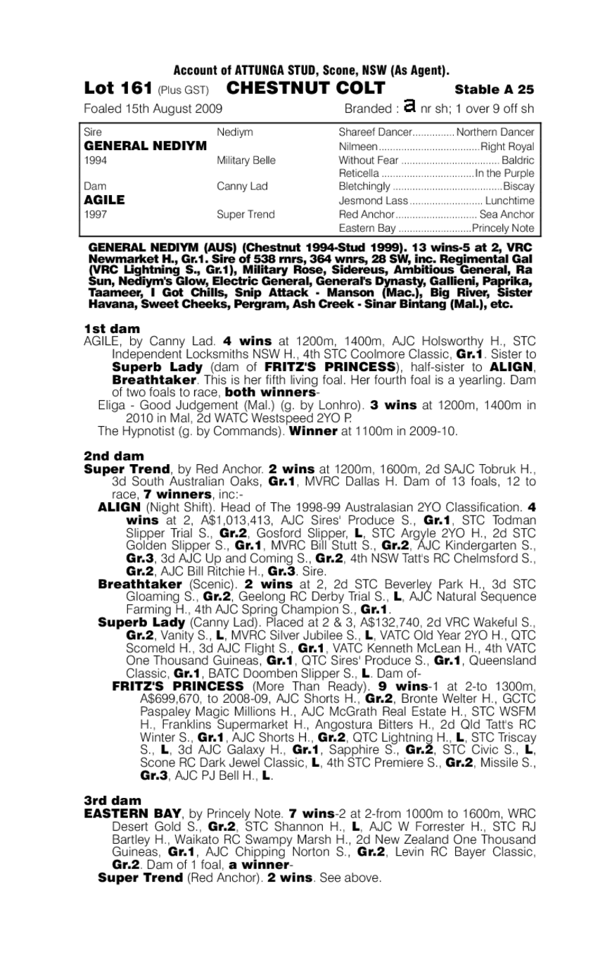 Swift General - pedigree