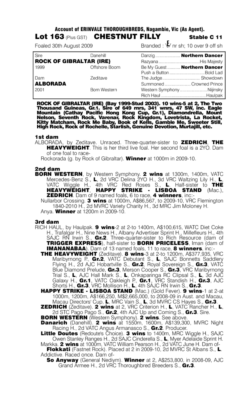 Rock The Turf - pedigree