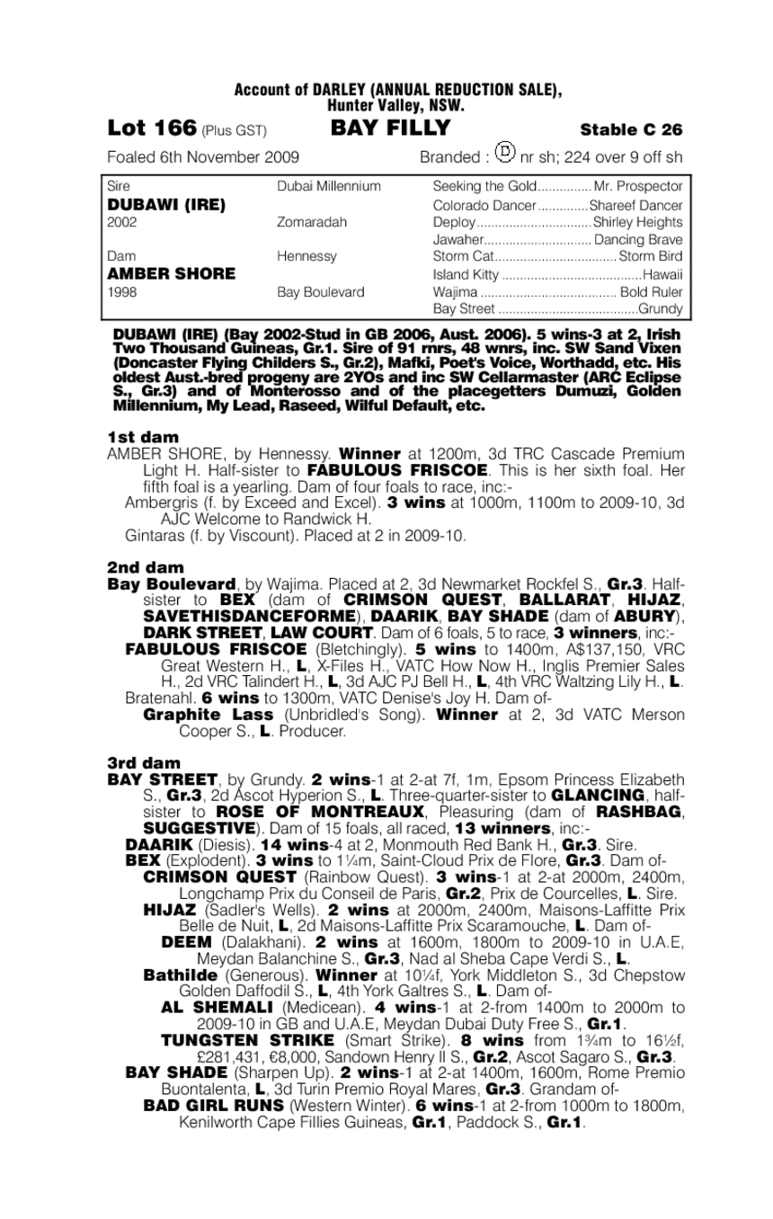 Amber Orchid - pedigree