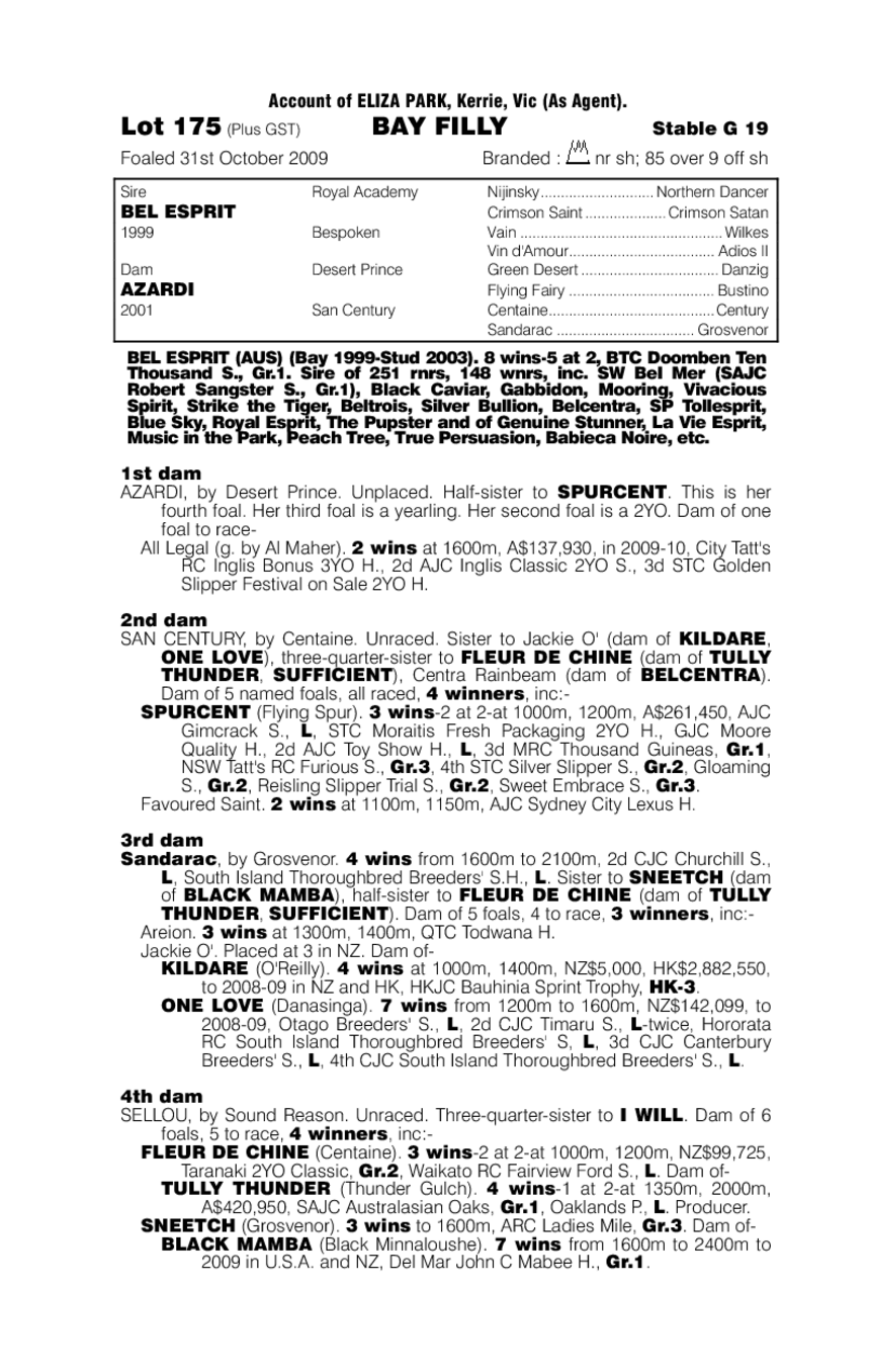 Wozniacki - pedigree