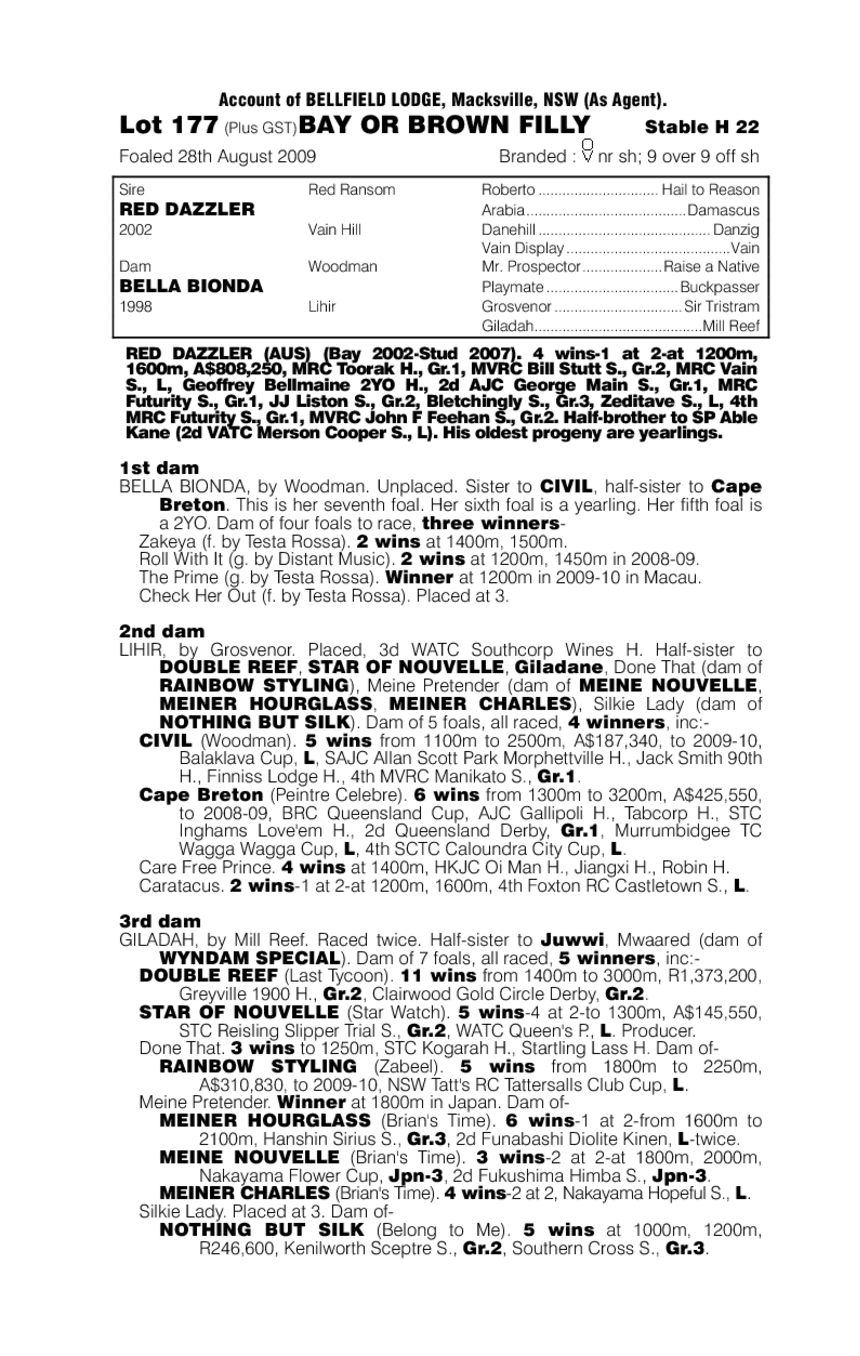 Bionda Dazzler (AUS) - pedigree