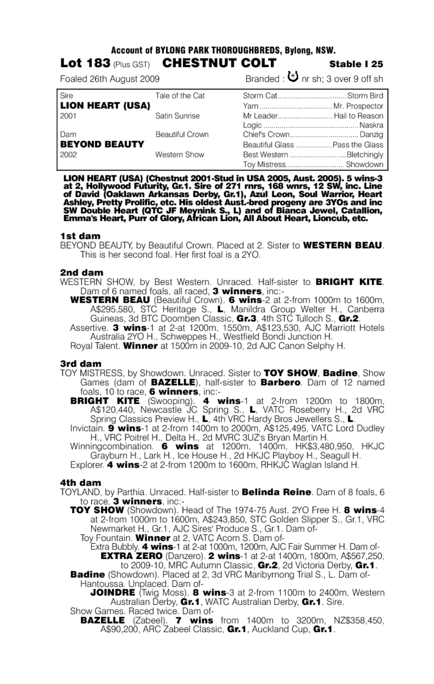 Latin Hero - pedigree