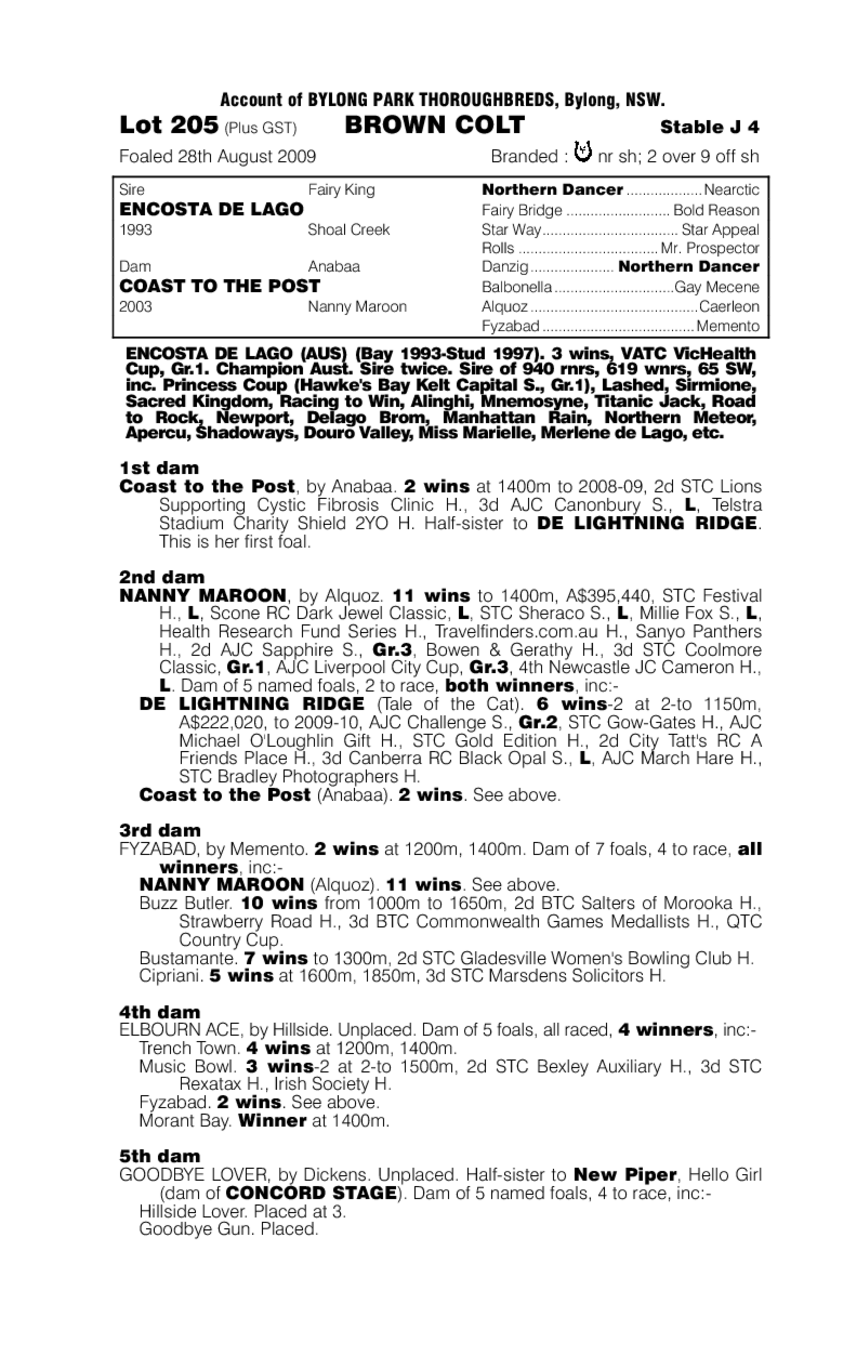 Diamond Costa - pedigree