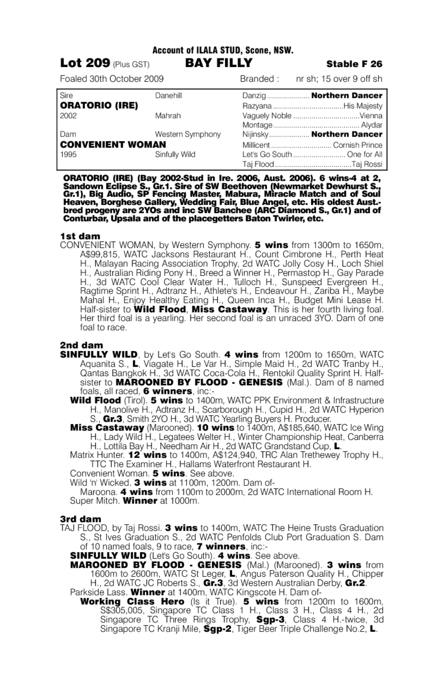 A Woman's Flare - pedigree