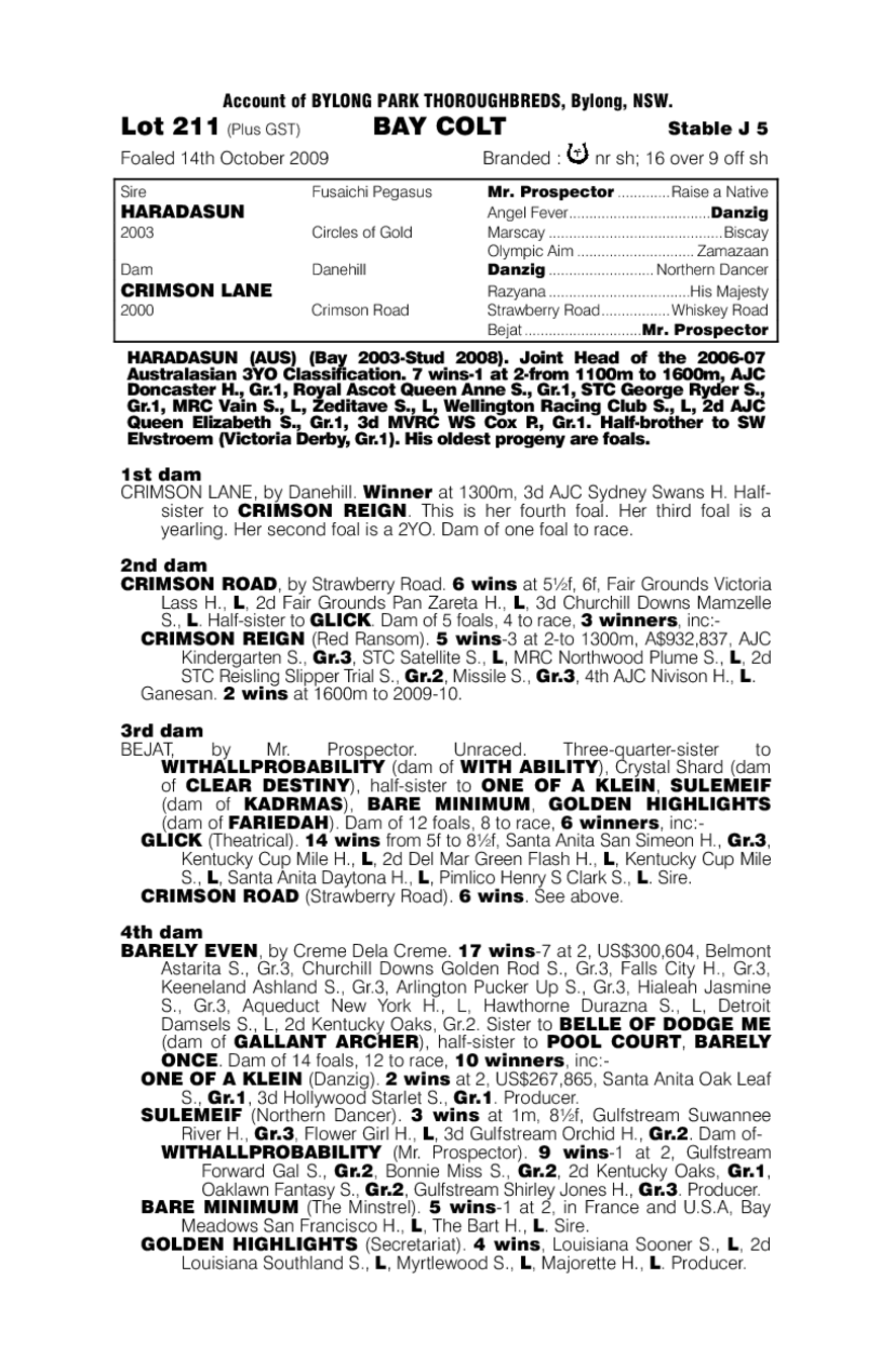 My Favorite (AUS) - pedigree