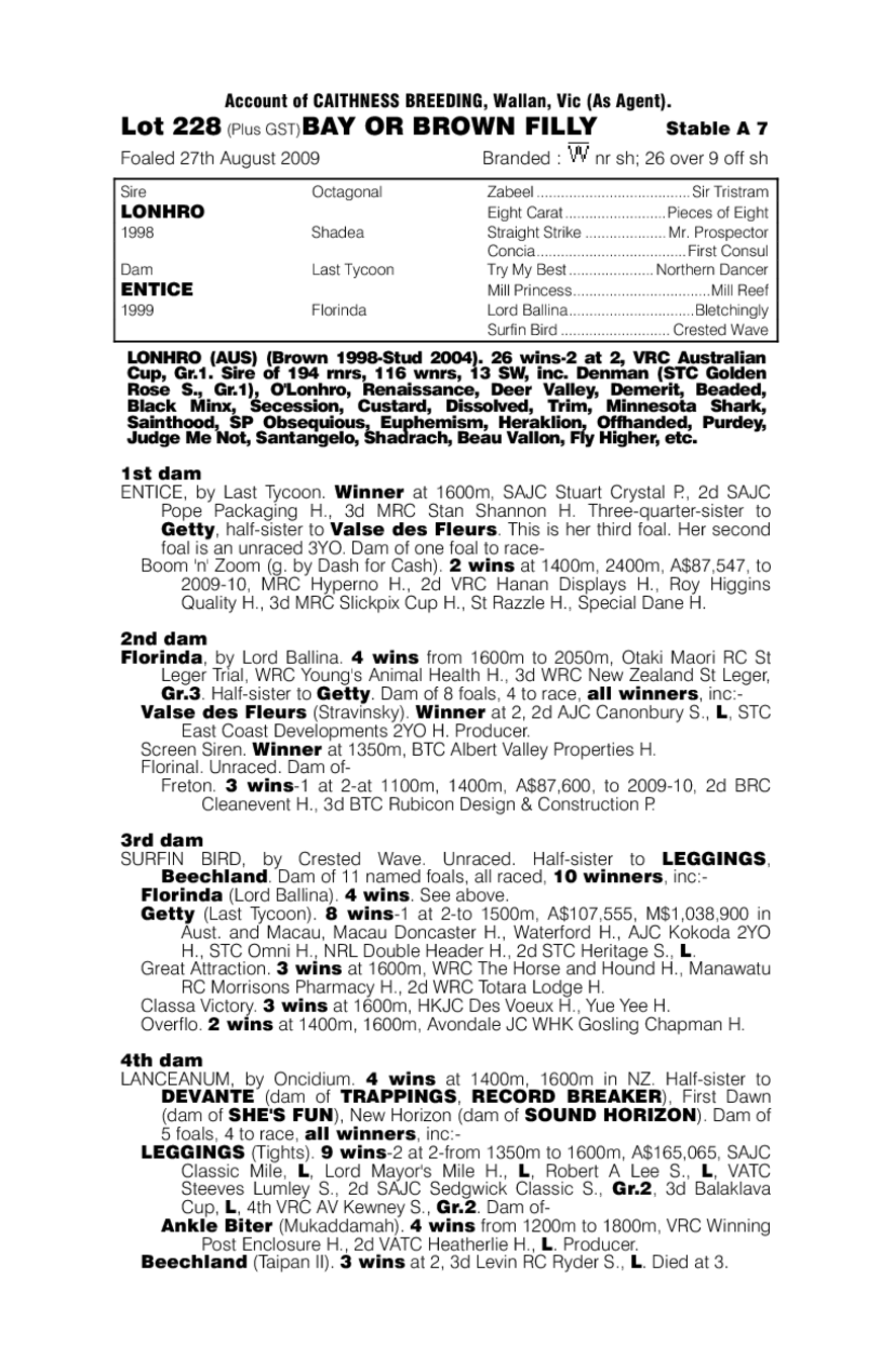 Lonhtime (AUS) - pedigree