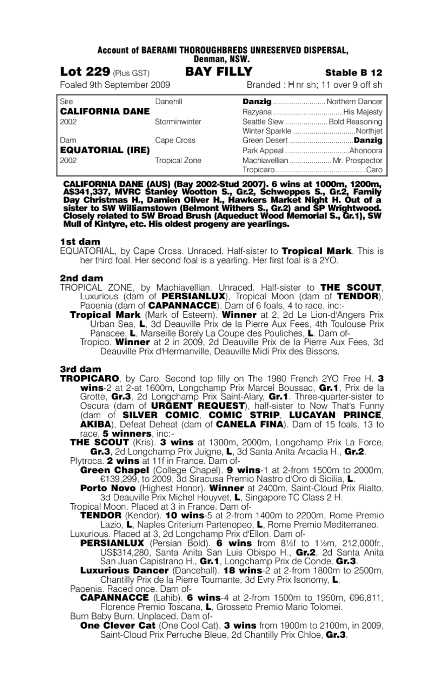 Equatorial Dancer - pedigree