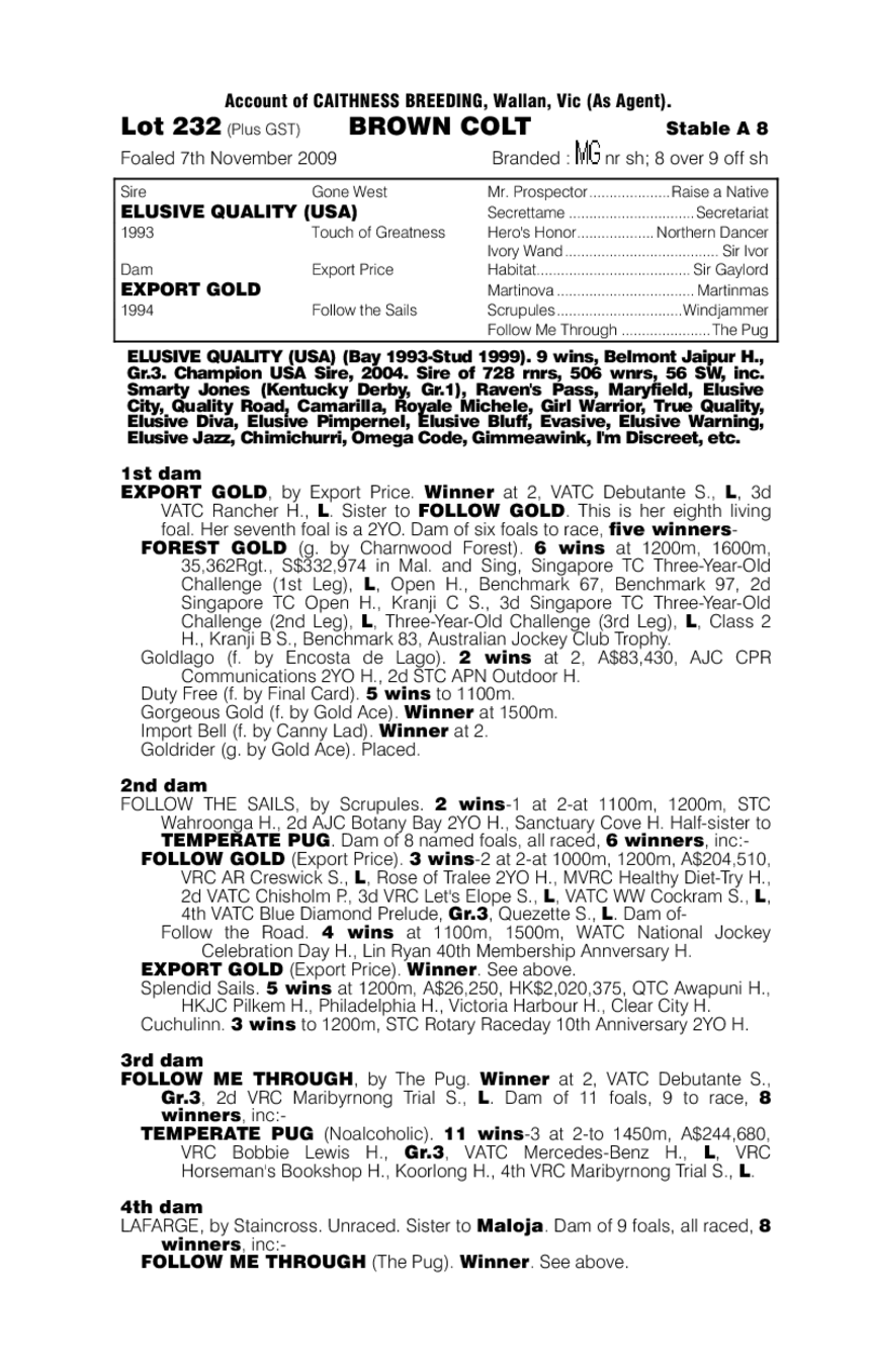 Export Quality - pedigree