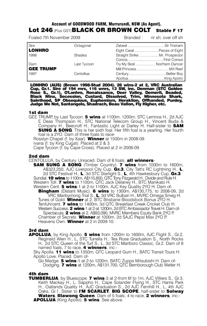 Lonhro (AUS) / Gee Trump (AUS) - pedigree