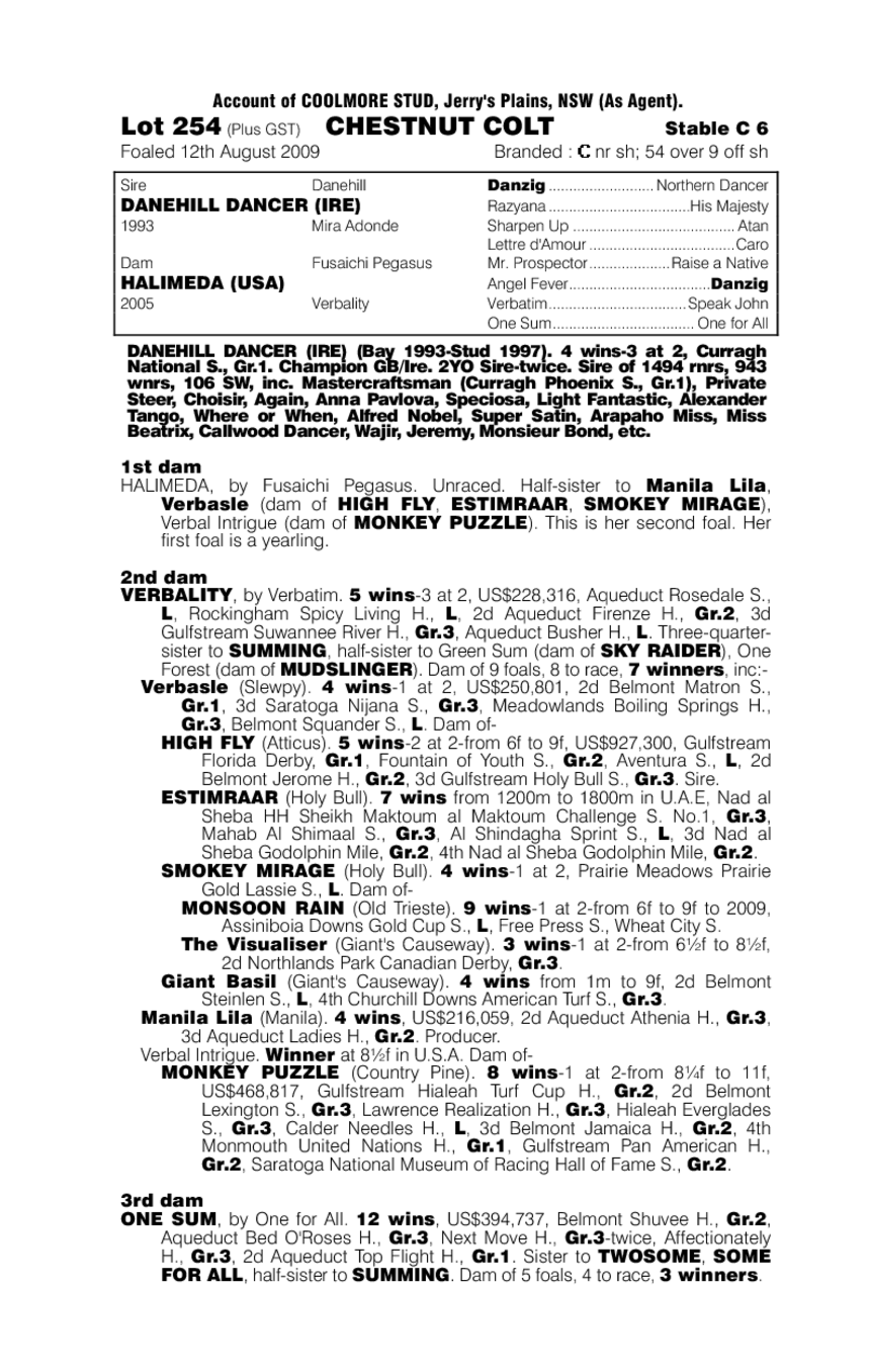 Sacred Dancer - pedigree