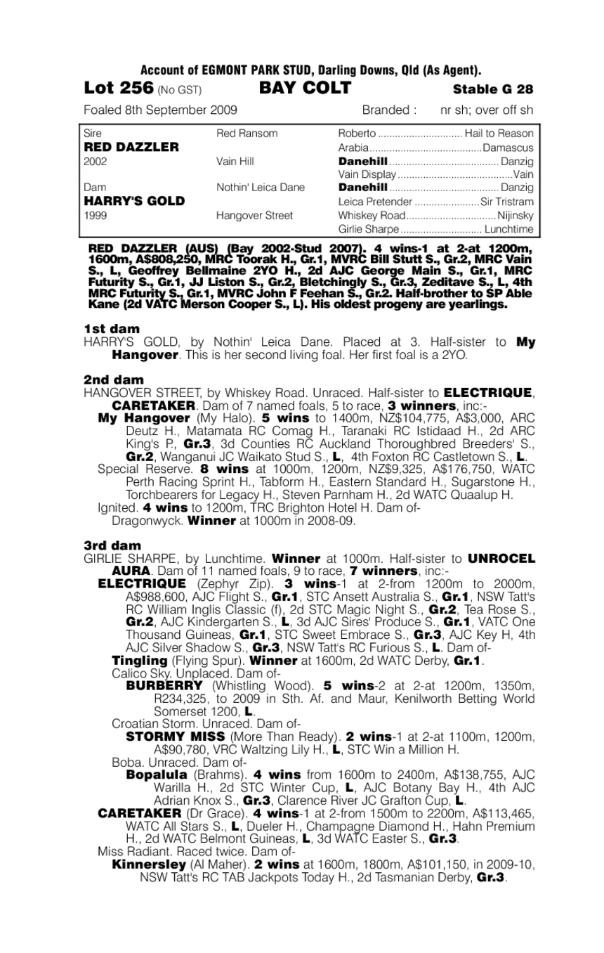 Red Dazzler (AUS) / Harry's Gold (AUS) - pedigree