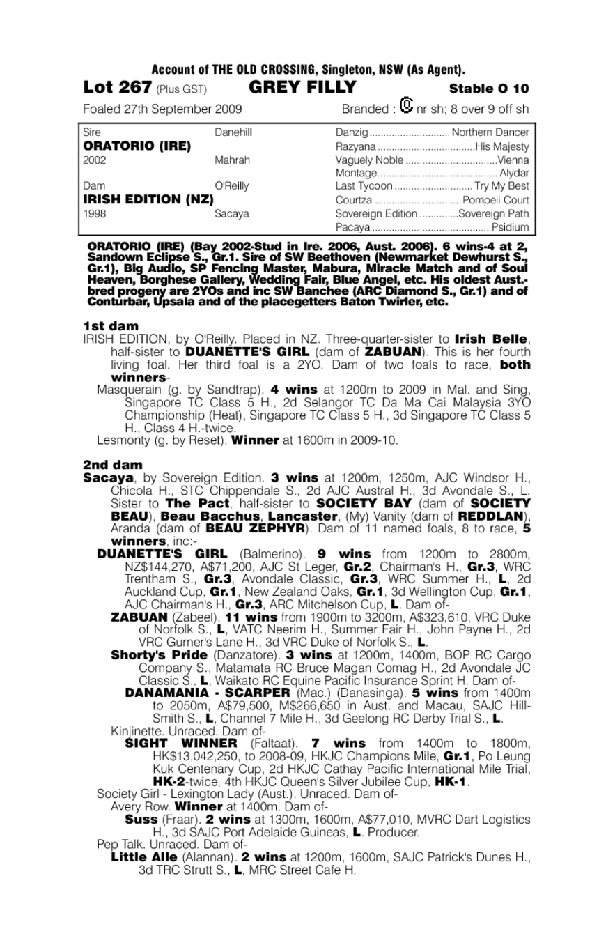 Orator's Daughter - pedigree