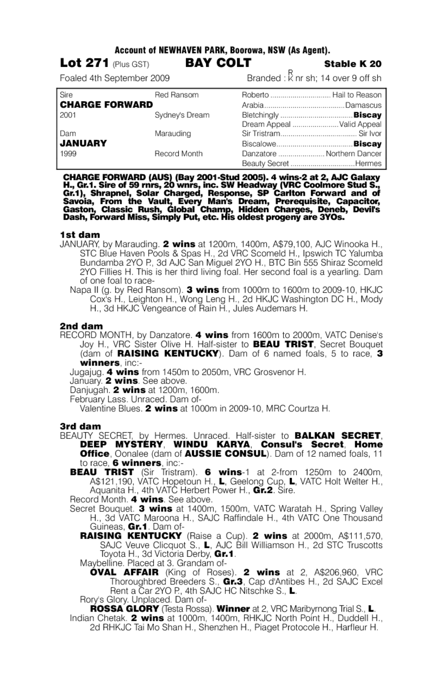 Carry Forward (AUS) - pedigree