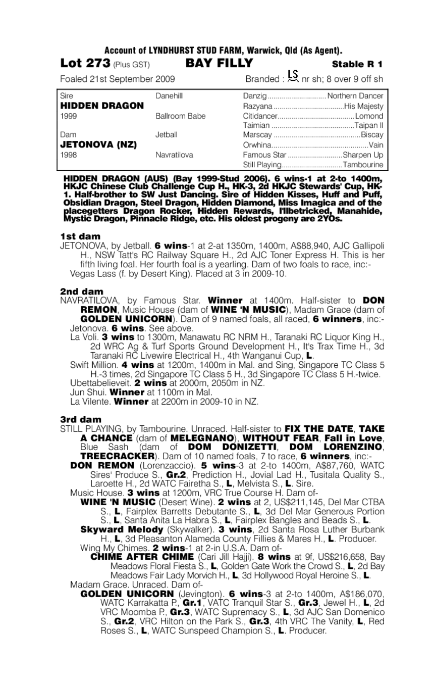 Miss Fency - pedigree