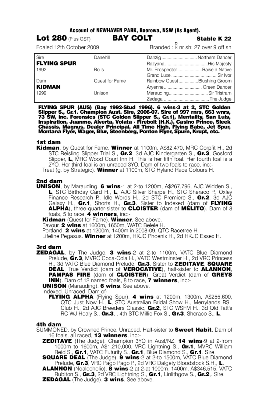 Zac Spirit - pedigree