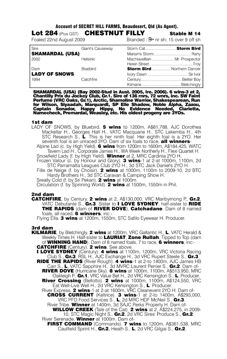 Quick's The Word - pedigree