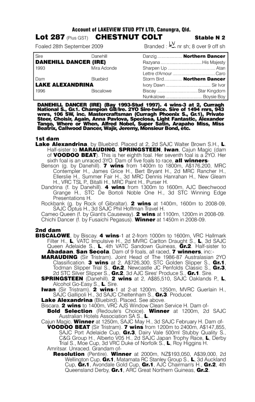 Naughty Baby - pedigree