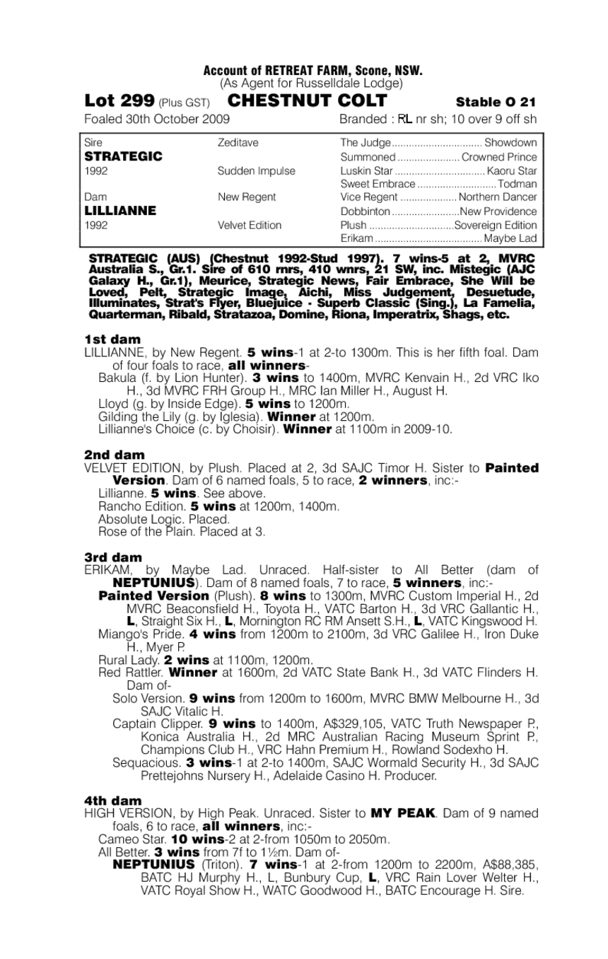 Strategic (AUS) / Lillianne (AUS) - pedigree