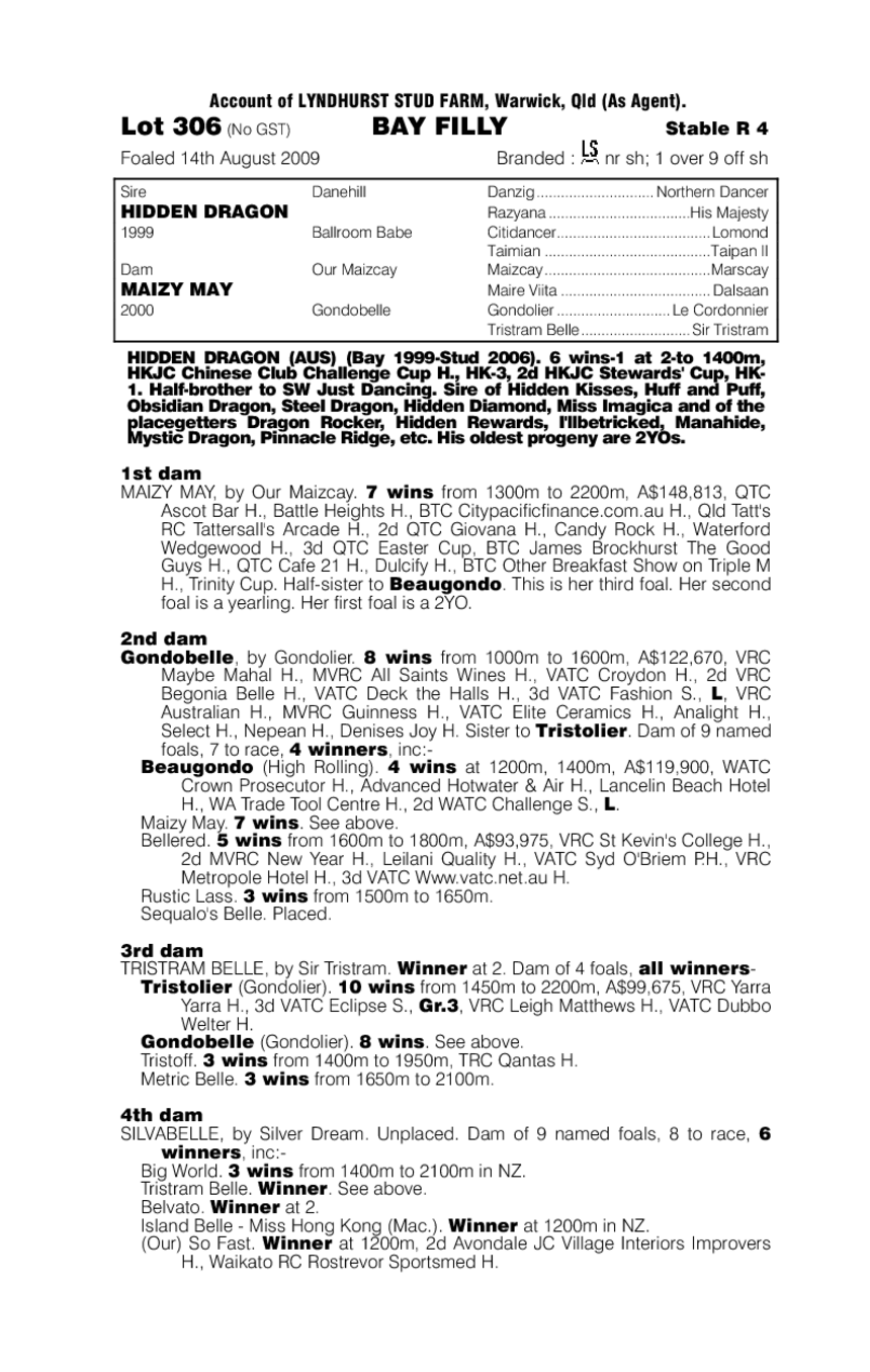 Amaizing Dragon - pedigree