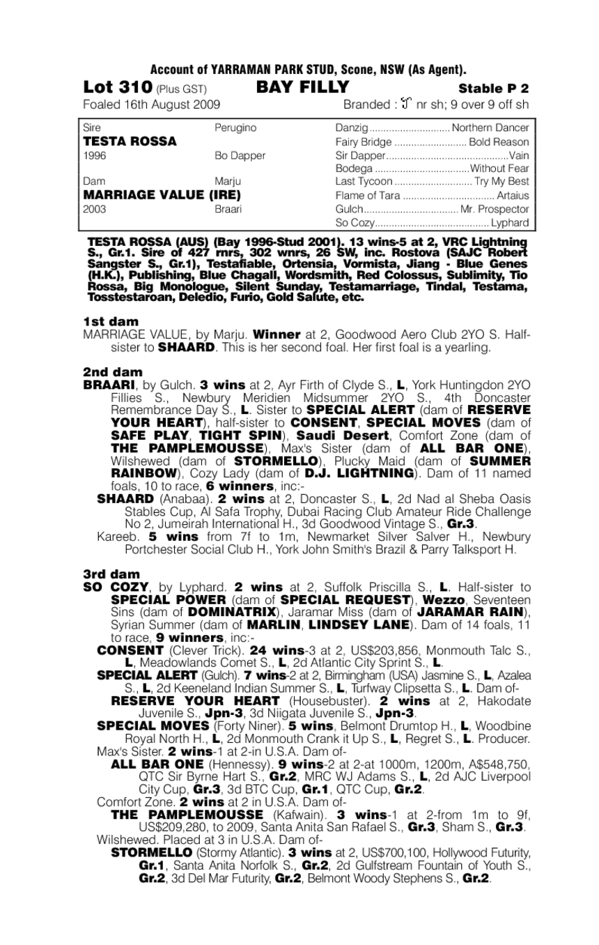 Worth Every Penny (AUS) - pedigree