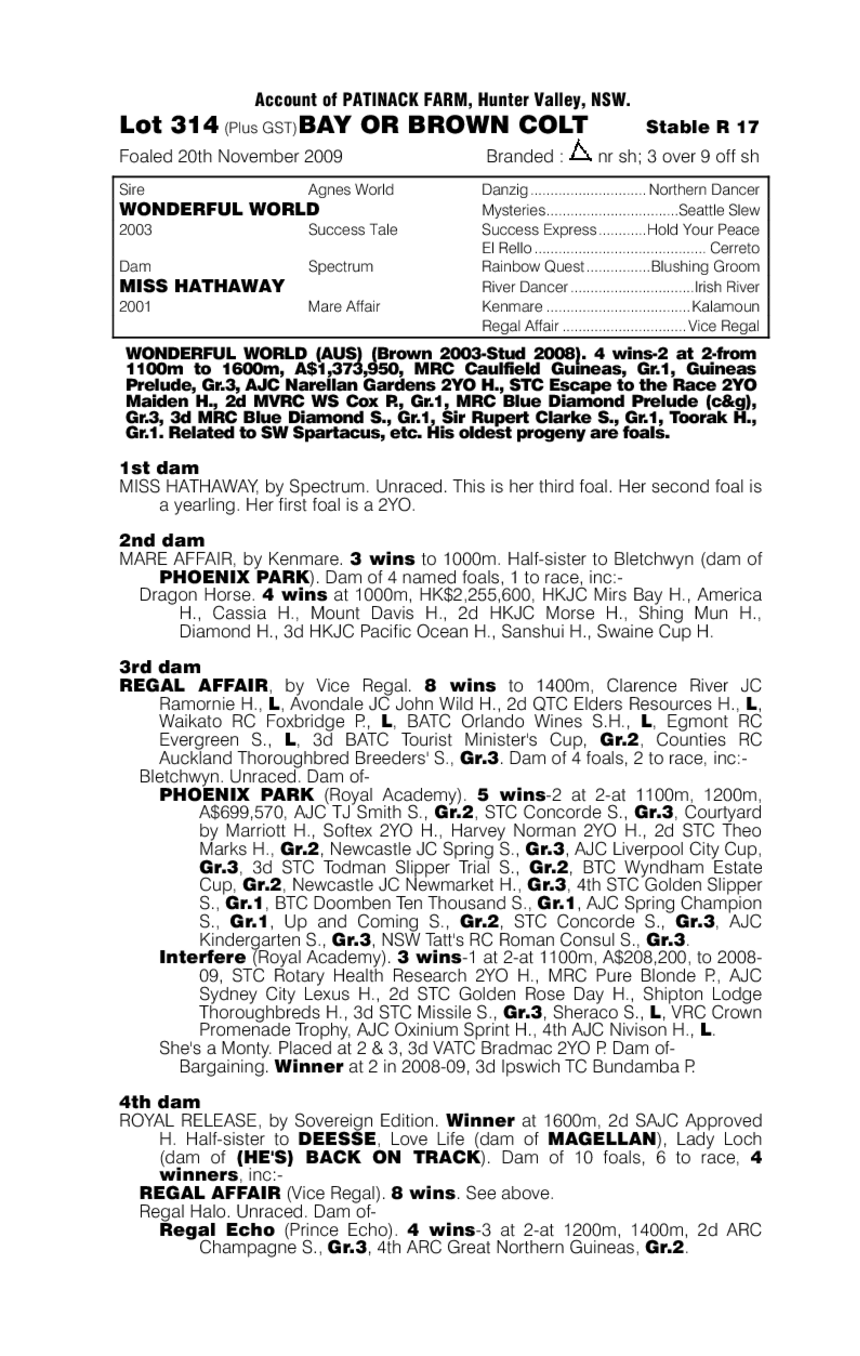 Letitbewonderful - pedigree