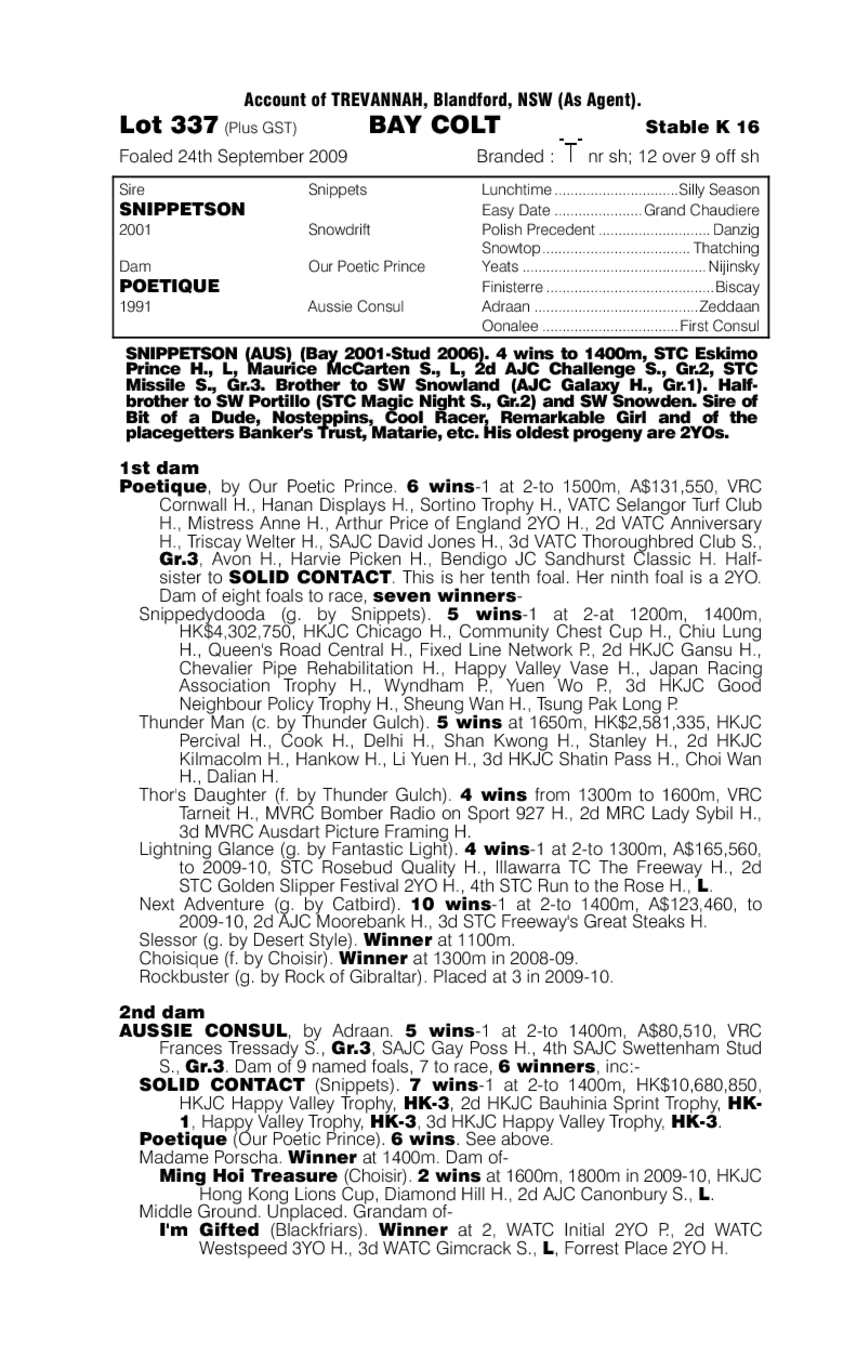 Fragmento - pedigree