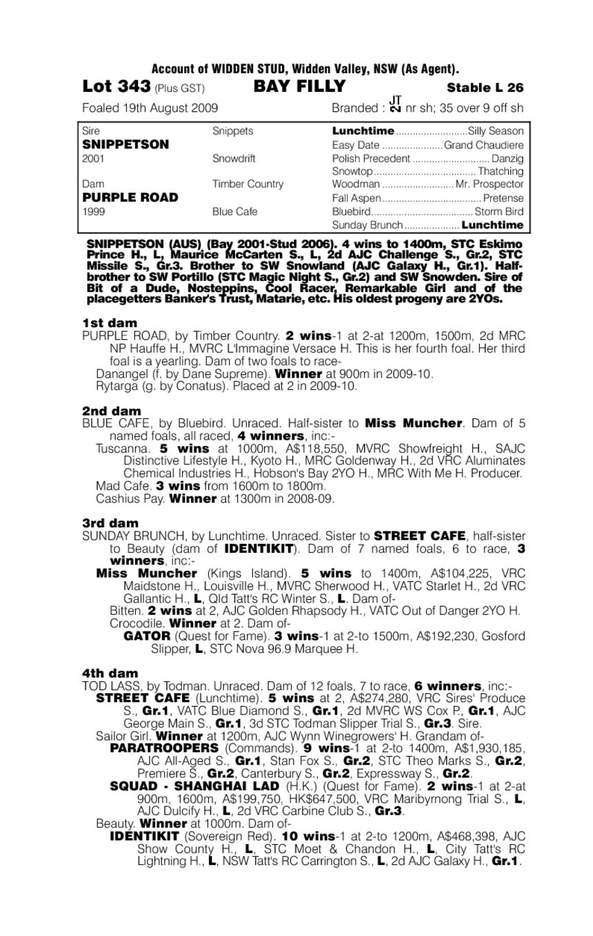 Meddlesome Miss - pedigree