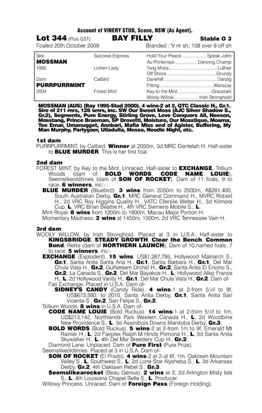 Purrpurrperam - pedigree