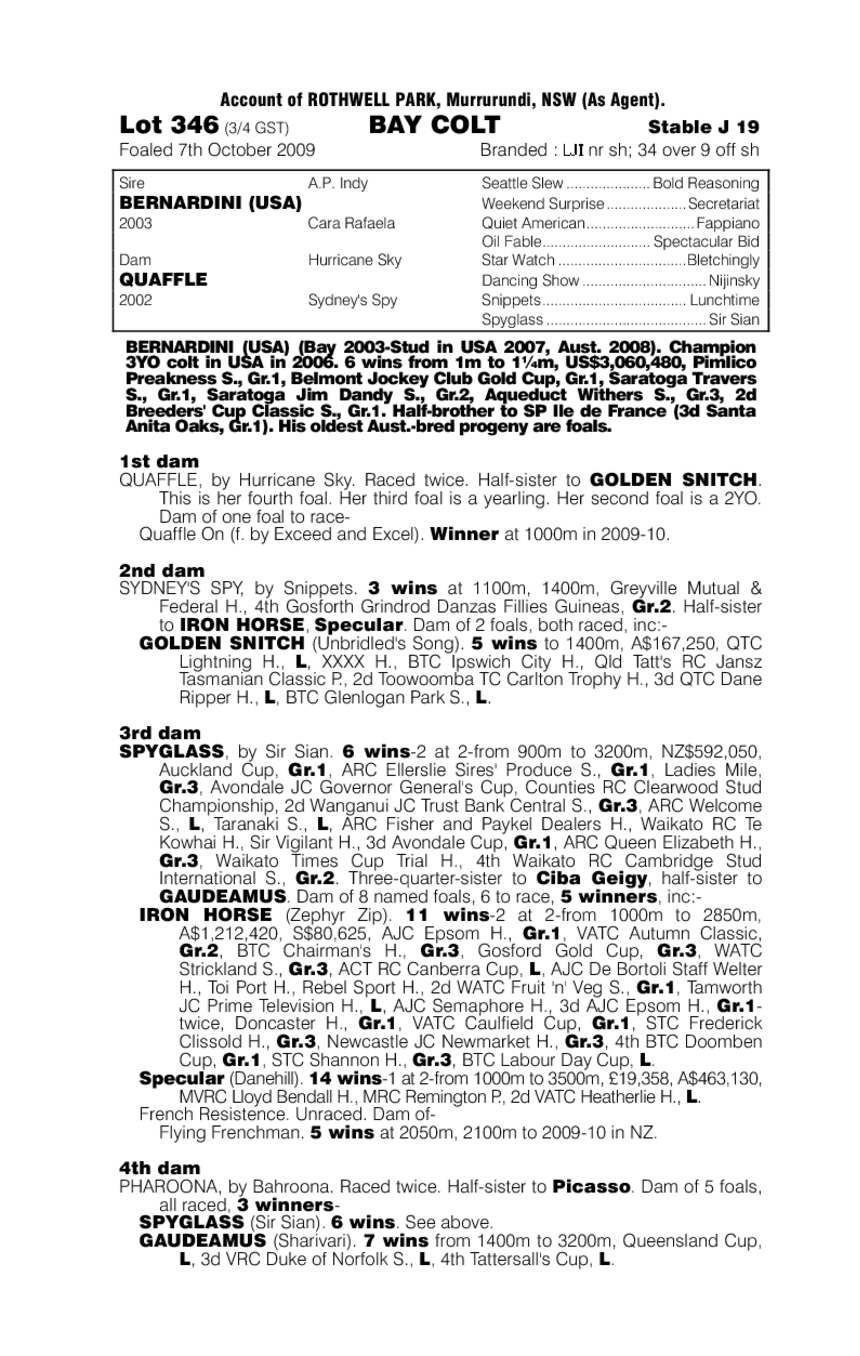 Marble Prince - pedigree