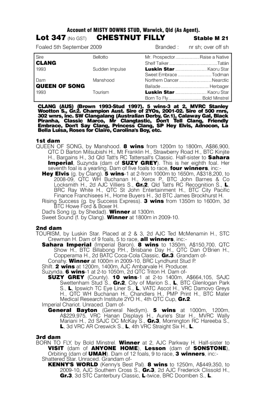 Kay Dee Clang - pedigree