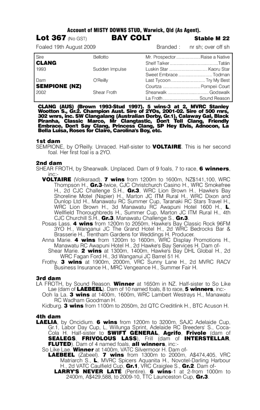 Koko Clang - pedigree