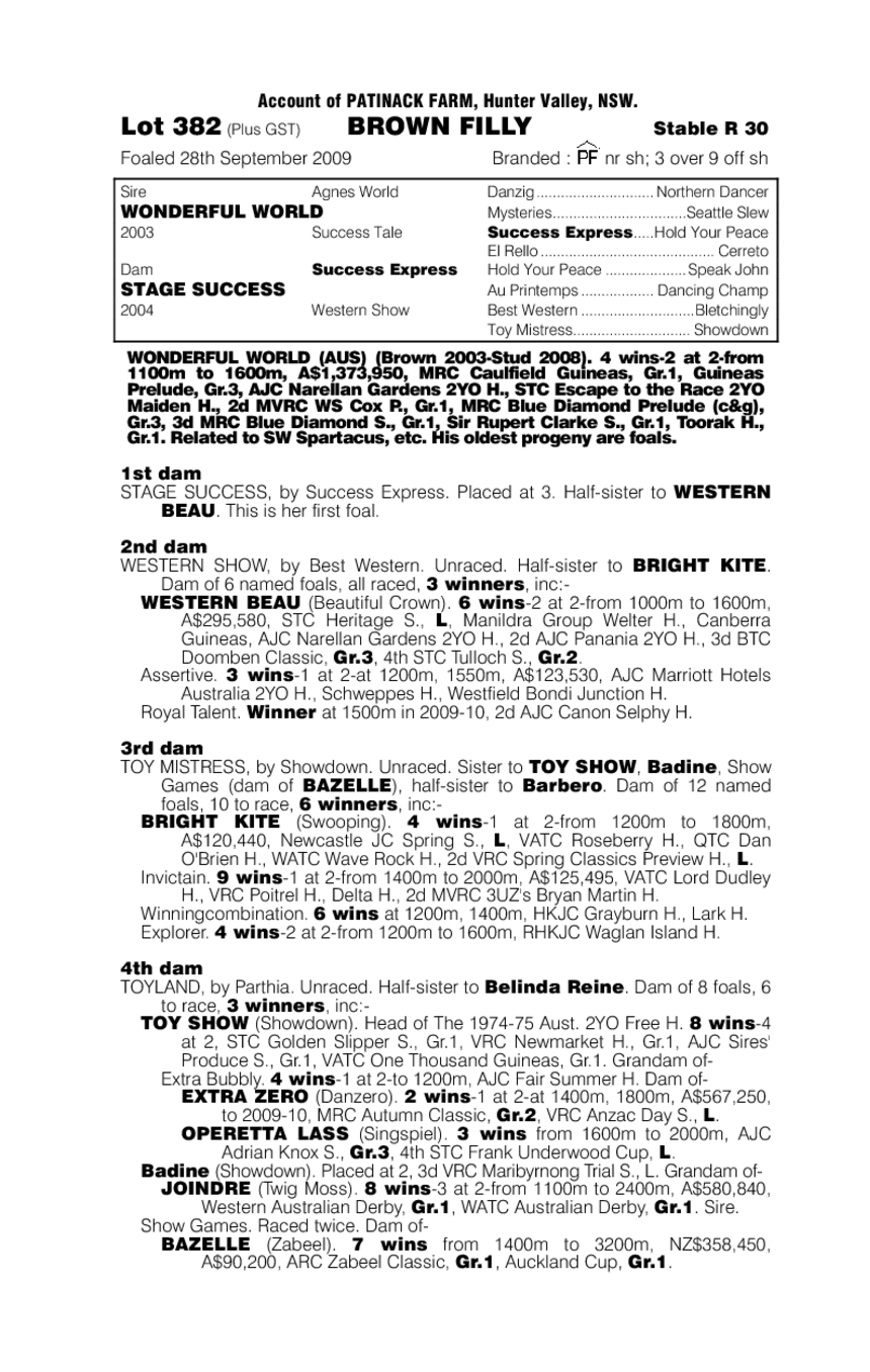 Maggie's Harmony - pedigree