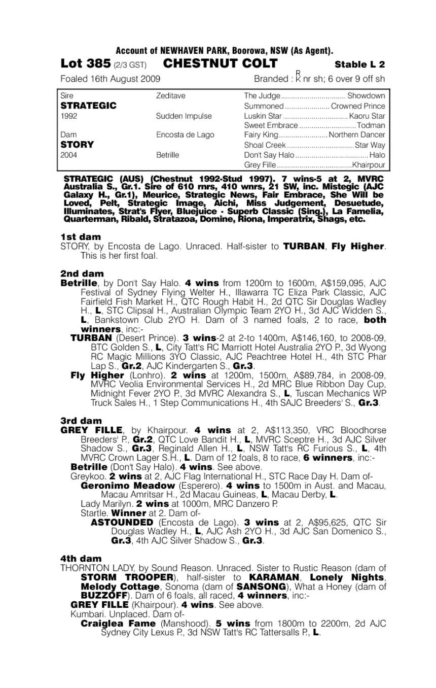 Strategic (AUS) / Story (AUS) - pedigree