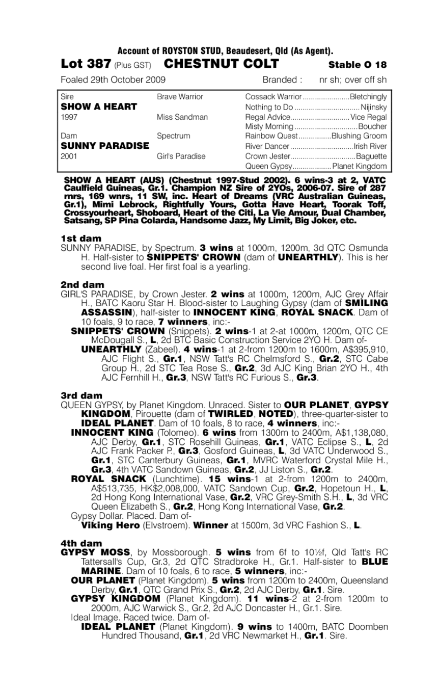 Belvedere Blast - pedigree