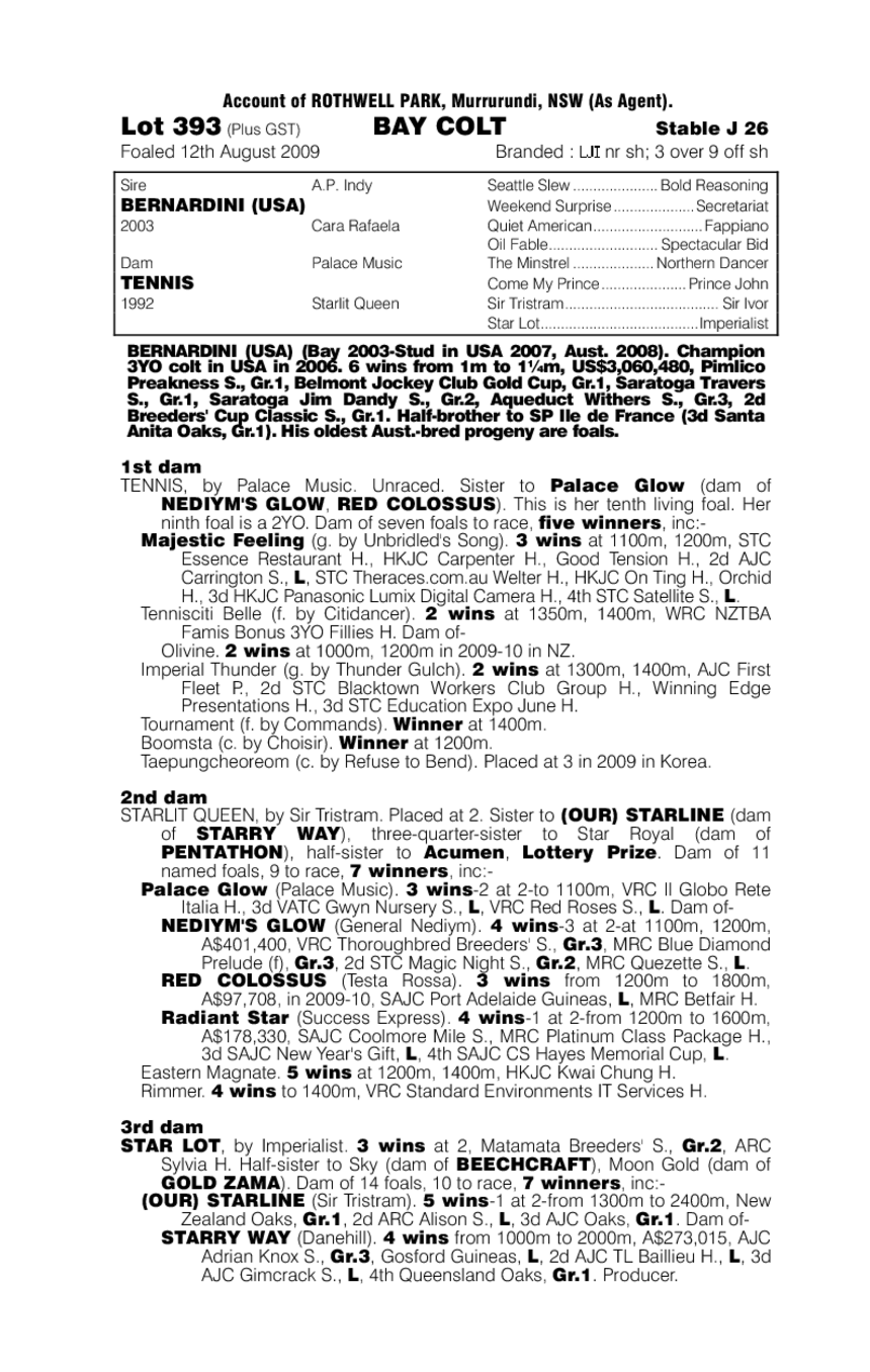 Racquetor - pedigree