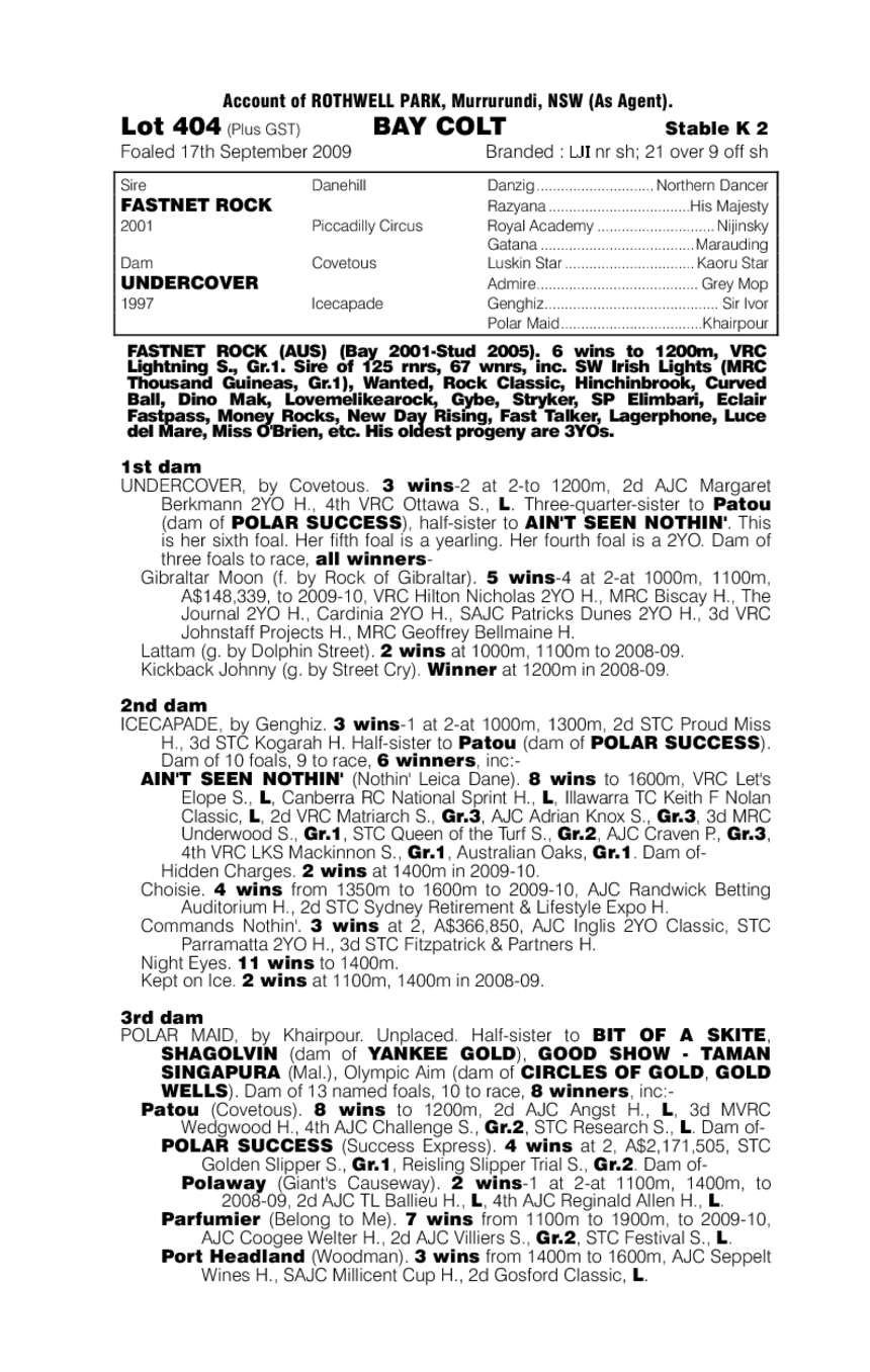 Golden Baby - pedigree