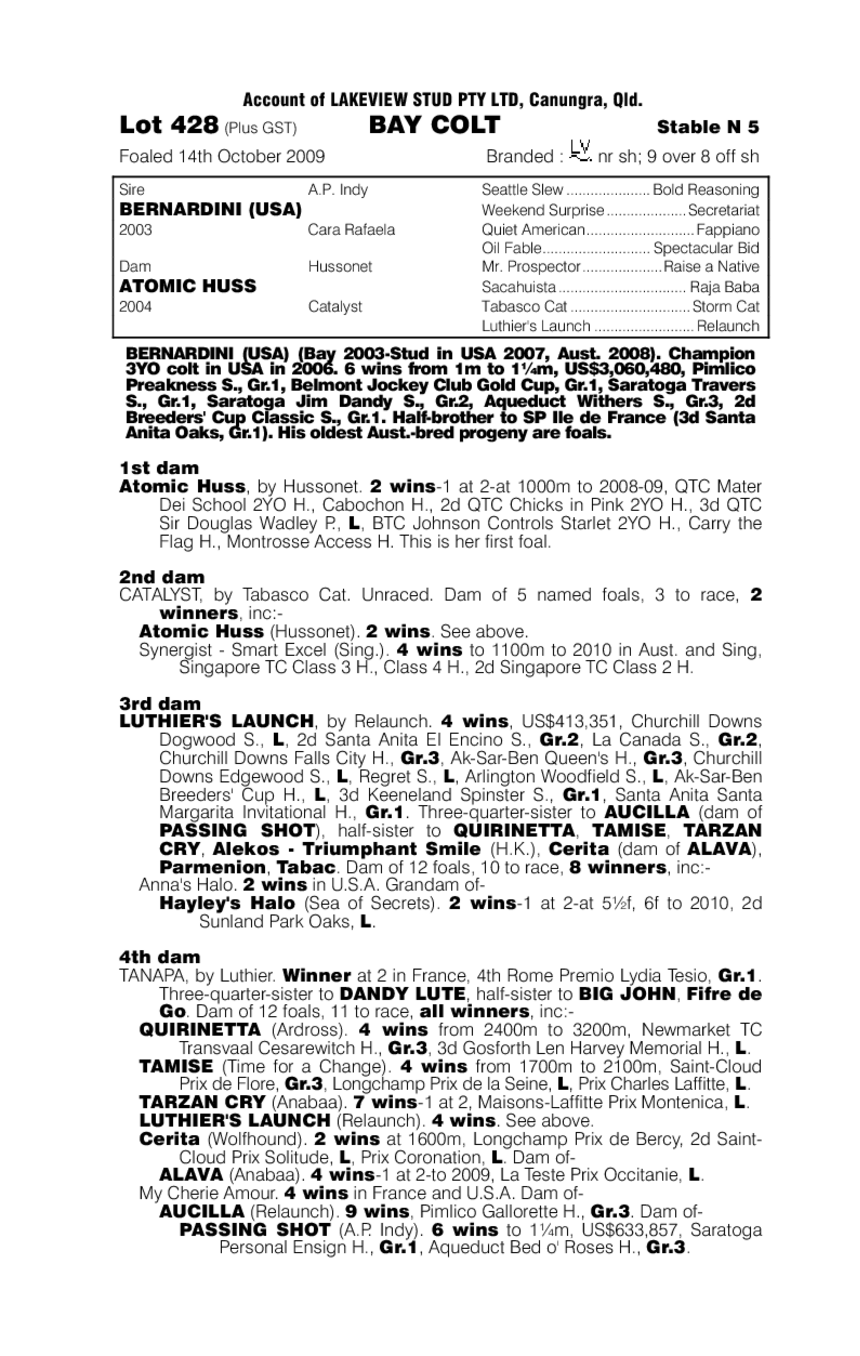 Bernardini (USA) / Atomic Huss (AUS) - pedigree