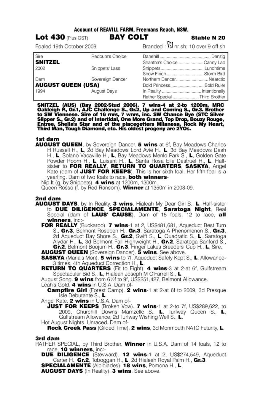 Snitzel (AUS) / August Queen (USA) - pedigree
