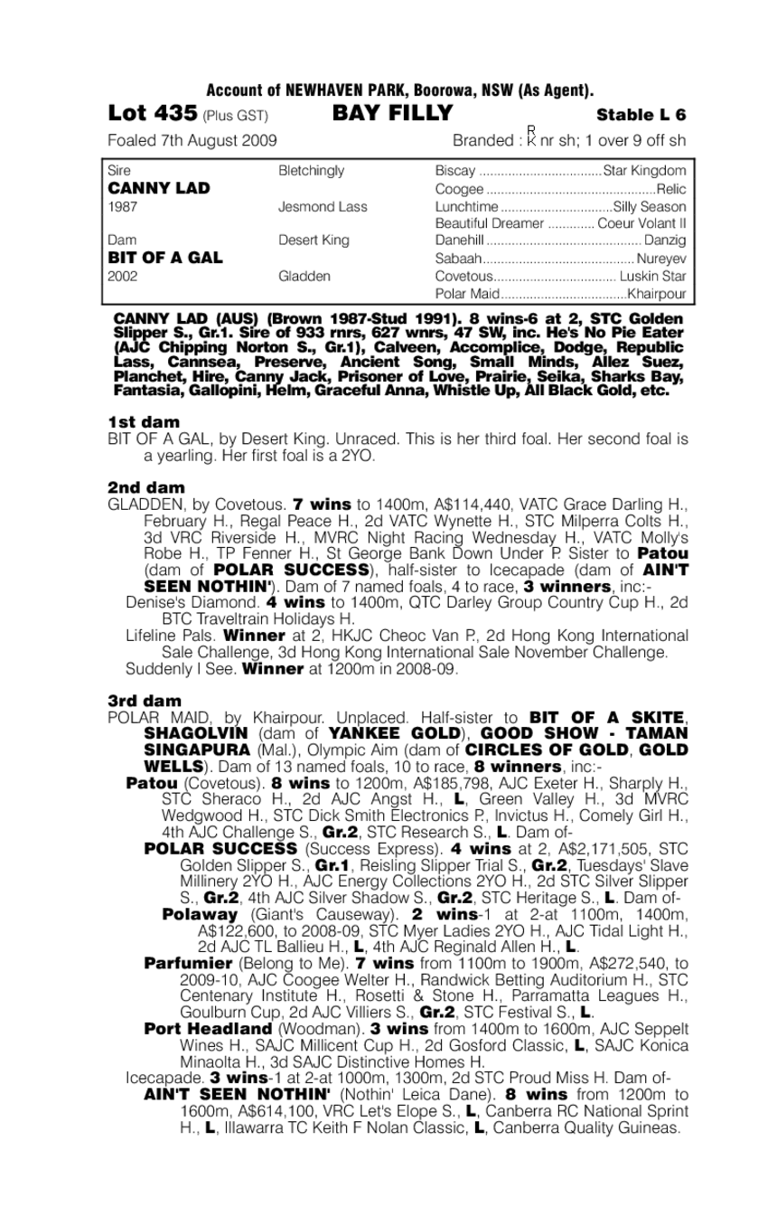 My Monica - pedigree