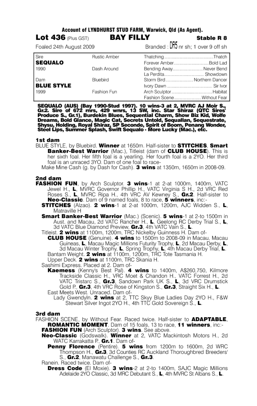 Lady Dash - pedigree