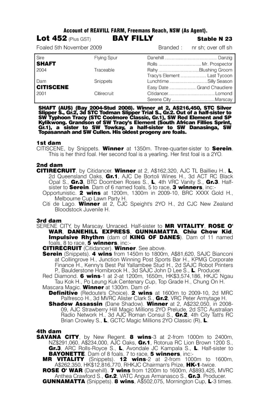 Citi Serenade - pedigree