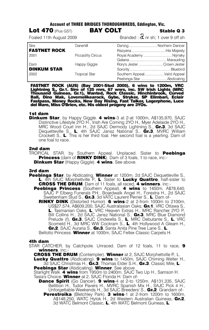 Fastnet Star - pedigree