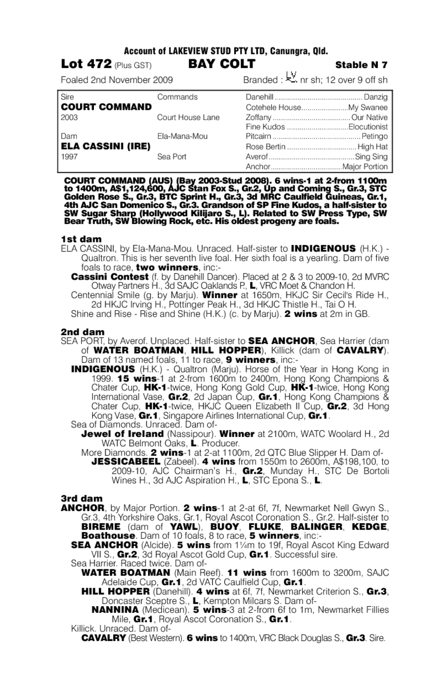 Kim Command - pedigree